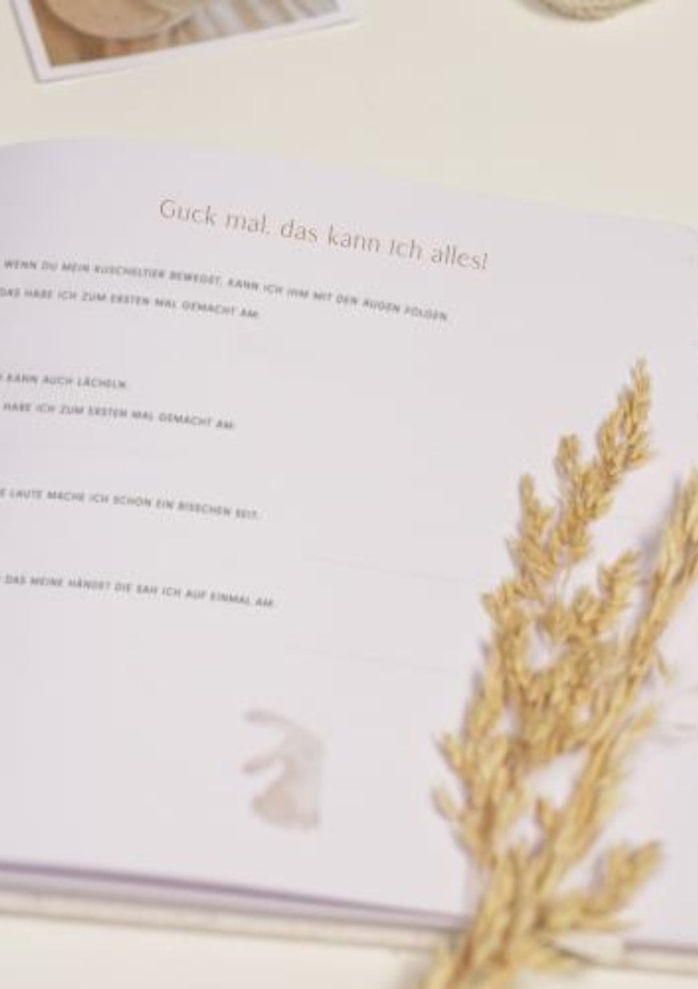 Little Dutch Babytagebuch "Mein erstes Lebensjahr" Bunny
