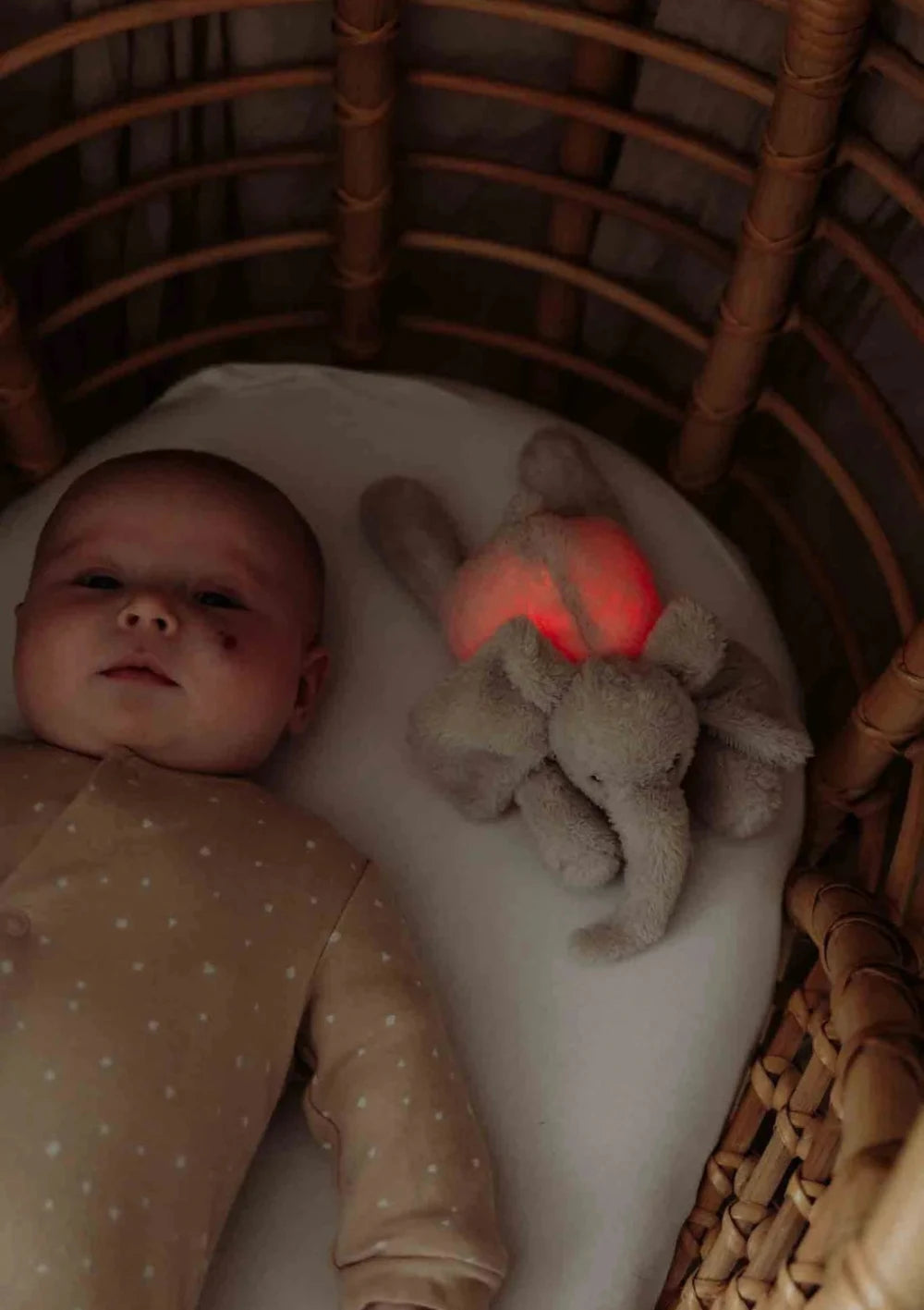 Baby im Bett mit rot leuchtendem flow AMSTERDAM Plüsch-Elefant mit Nachtlicht 'George' blush