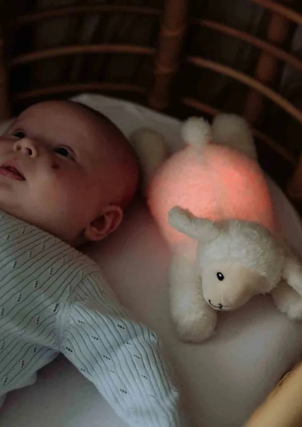 Baby liegt im Bett mit rot leuchtendem flow AMSTERDAM Plüsch-Schäfchen mit Nachtlicht 'Rosie' beige